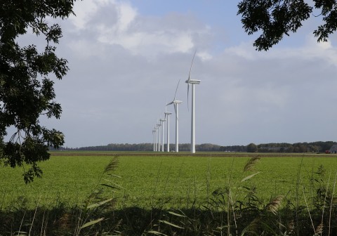Woning verhuren in Zeewolde